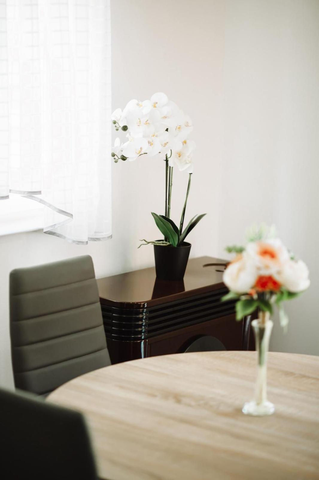 Apartman Sunny Hills Krapina Bagian luar foto