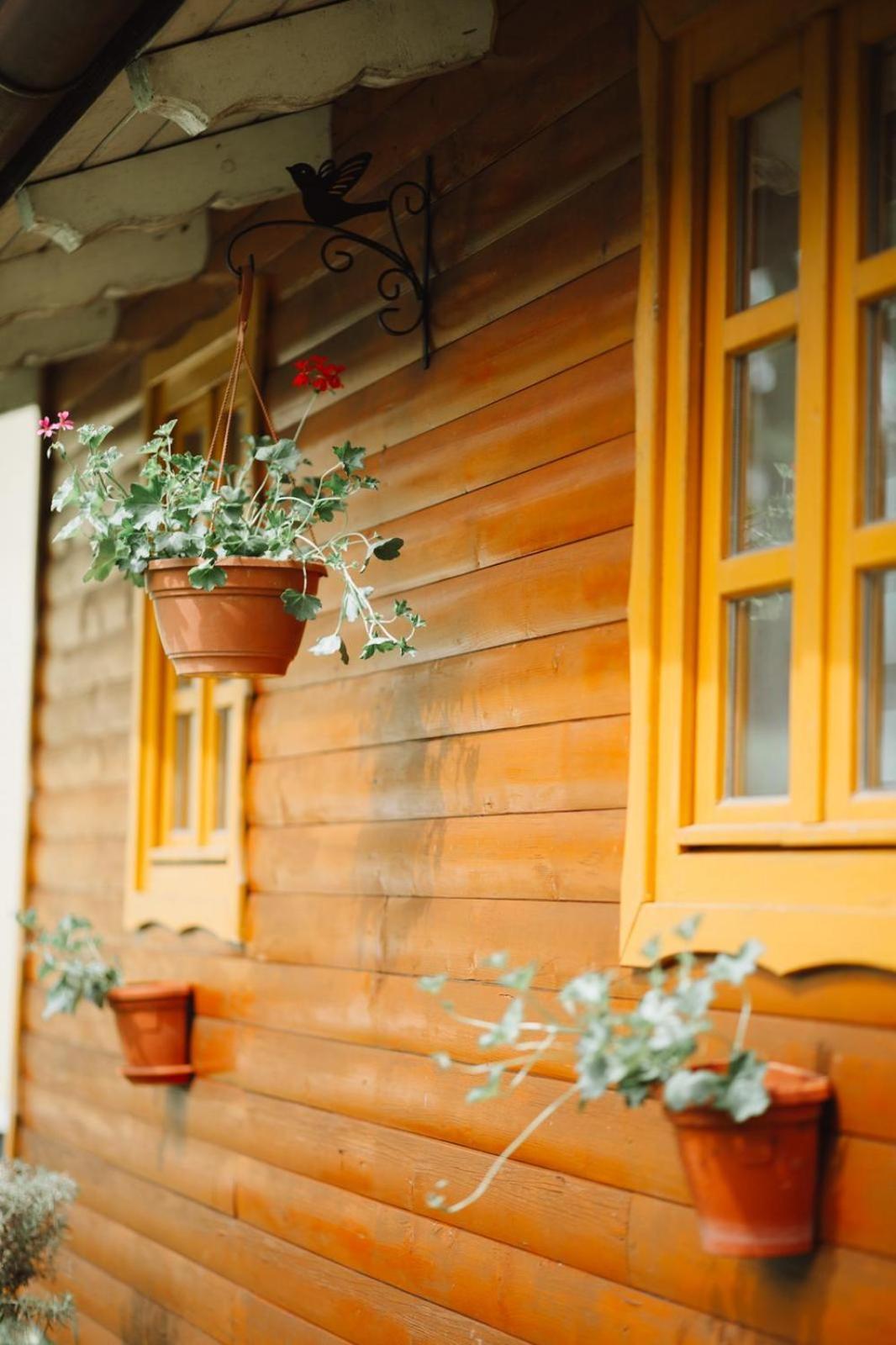 Apartman Sunny Hills Krapina Bagian luar foto